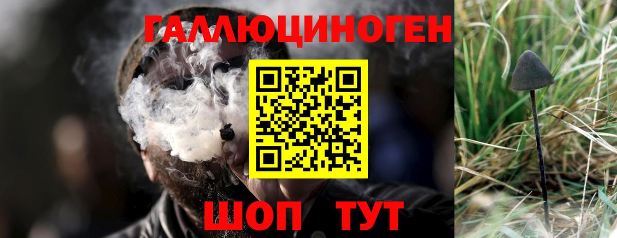 Томск  Галлюциногенные грибы Cubensis  Псилоцибиновые грибы Magic Shrooms  Вход с VPN 